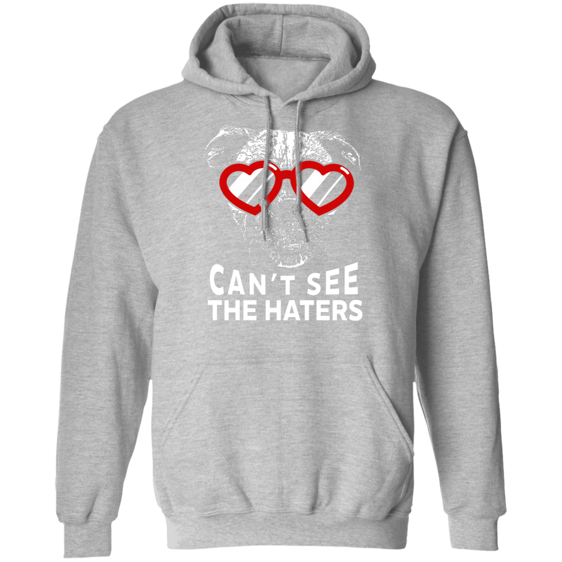 Can't See The Haters Boxer Edition Pullover Hoodie